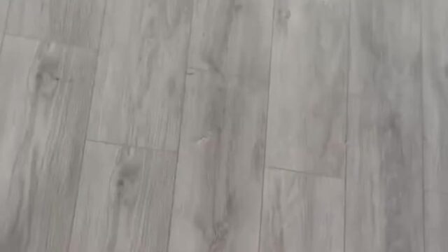 Petite Tattooed Liya Silver First DP Experience